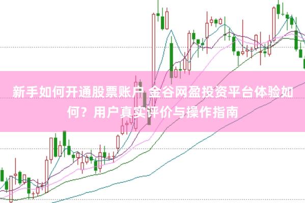新手如何开通股票账户 金谷网盈投资平台体验如何？用户真实评价与操作指南