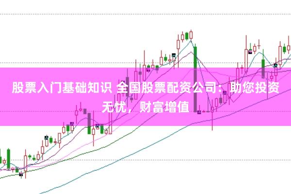 股票入门基础知识 全国股票配资公司：助您投资无忧，财富增值