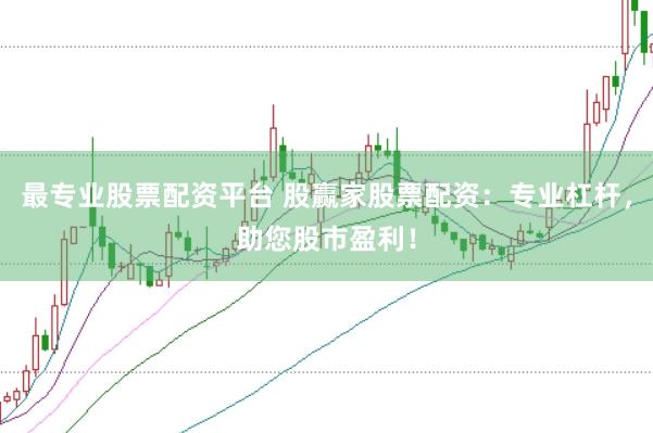 最专业股票配资平台 股赢家股票配资：专业杠杆，助您股市盈利！