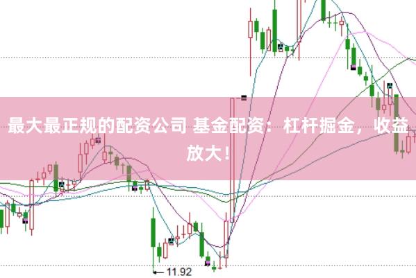 最大最正规的配资公司 基金配资：杠杆掘金，收益放大！
