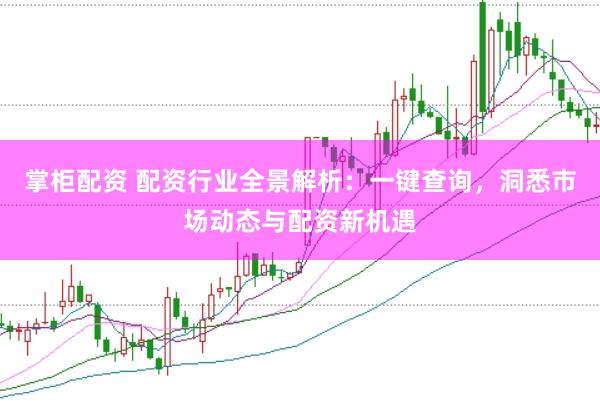 掌柜配资 配资行业全景解析：一键查询，洞悉市场动态与配资新机遇