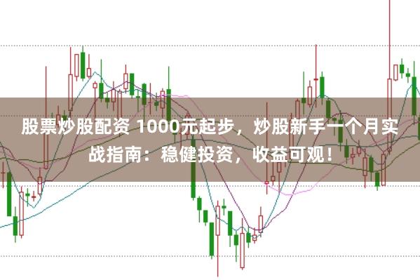 股票炒股配资 1000元起步,炒股新手一个月实战指南:稳健投资,收益可观!