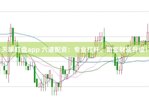 天眼盯盘app 六道配资：专业杠杆，助您财富升级！