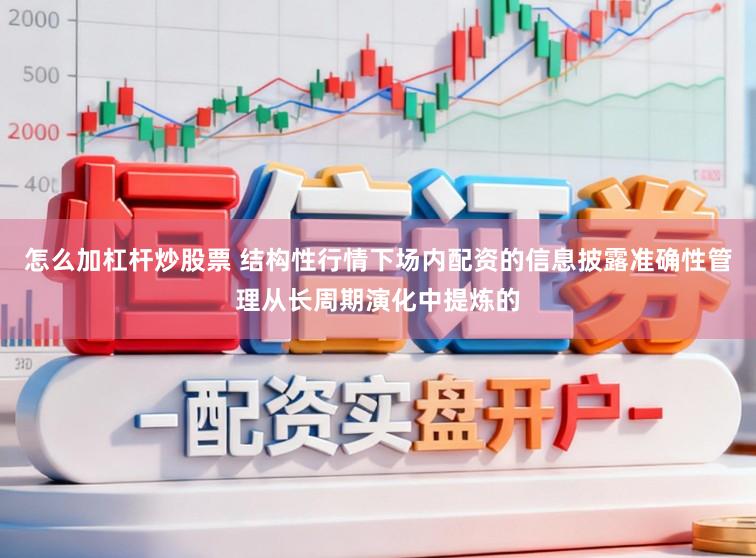 怎么加杠杆炒股票 结构性行情下场内配资的信息披露准确性管理从长周期演化中提炼的